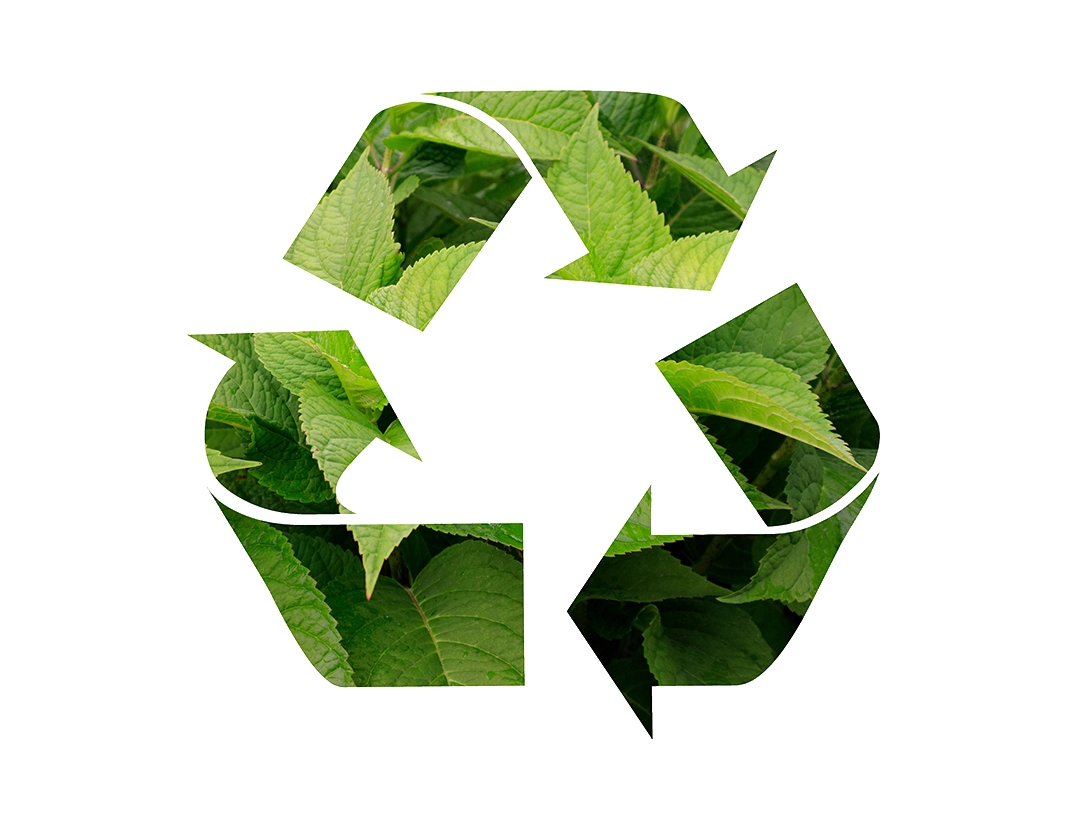 A recycled symbol creatively filled with green leaves, symbolizing sustainable cleaning practices and the importance of eco-friendly solutions for a greener planet.