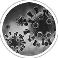 A microscopic view of bacteria, emphasizing the antibacterial properties of car wash sheets.